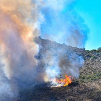 Veliki požar na dubrovačkom području