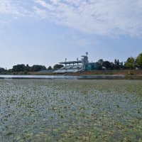 Visoke temperature pogoduju niskom vodostaju jezera Jarun