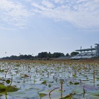 Visoke temperature pogoduju niskom vodostaju jezera Jarun