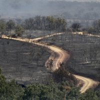 Posljedice požara u Španjolskoj