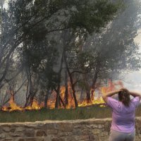 Posljedice požara u Španjolskoj