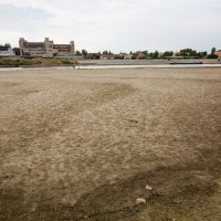 Niski vodostaj Drave