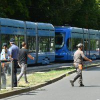 Stablo palo na ženu