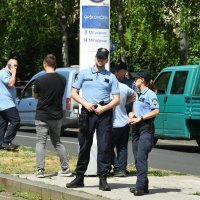 Stablo palo na ženu