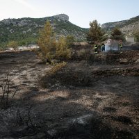 Lokalizirano požariste u Murvici kod Bola