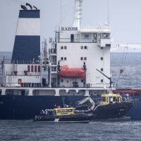 Ukrajinski brod Razoni