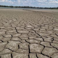 Spašavanje muškarca u Kopačkom ritu