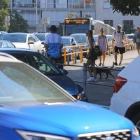 Gužve u Trajektnoj luci Split u jeku turističke sezone