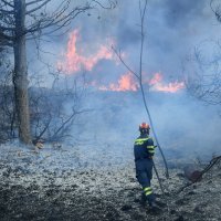 Požar u zadarskom naselju Plovanija
