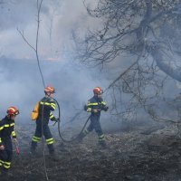 Požar u zadarskom naselju Plovanija