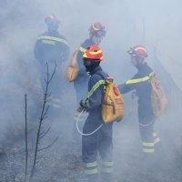 Požar u zadarskom naselju Plovanija
