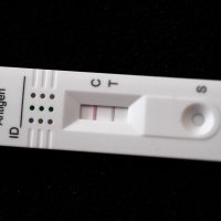 Covid-19 / Koronavirus