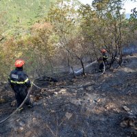 Požar koji je buknuo na brdu Kotor stavljen je pod kontrolu