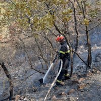 Požar koji je buknuo na brdu Kotor stavljen je pod kontrolu