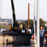 Spašavanje kita beluge iz Seine