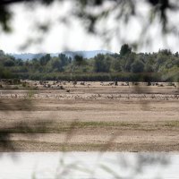 Jezero Hidroelektrane Dubrava