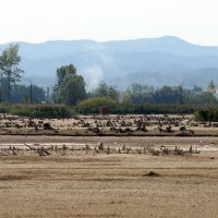 Jezero Hidroelektrane Dubrava