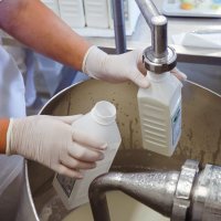 Krave muzare, proizvodnja mlijeka