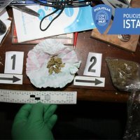 Zapljena droge u Istri