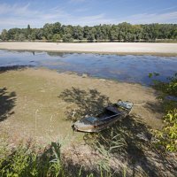 Niski vodostaj Rajne