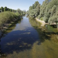 Niski vodostaj Rajne