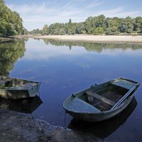 Niski vodostaj Rajne