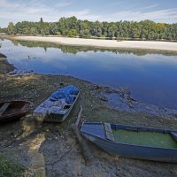 Niski vodostaj Rajne