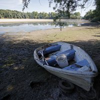 Niski vodostaj Rajne