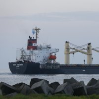 Brod Brave Commander