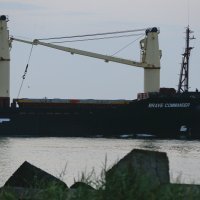 Brod Brave Commander