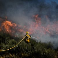 Požar u Portugalu