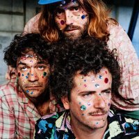 Abacaxi_1 (c)by SYLVAIN GRIPOIX