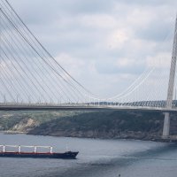 Brodovi sa žitaricama u Turskoj
