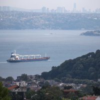 Brodovi sa žitaricama u Turskoj