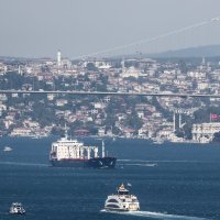 Brodovi sa žitaricama u Turskoj