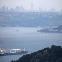 Brodovi sa žitaricama u Turskoj