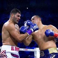 Filip Hrgović vs.  Zhang Zhilei