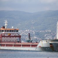 žito ukrajina brodovi