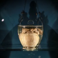 Srce portugalskog monarha Dom Pedra I.