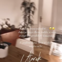 Stan Marijane Batinić