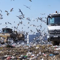 Kamioni splitske Čistoće