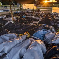 Migranti u Nizozemskoj