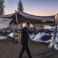 Migranti u Nizozemskoj
