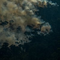 Požar u Amazoniji