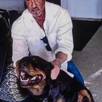 Sylvester Stallone