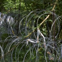 'Žilet žica' na granici Slovenije i Hrvatske
