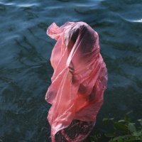 tu ništa ne raste samo od sebe