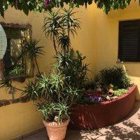 Holiday home Villa Bougainvillea