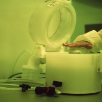 Žene minorne spekulacije