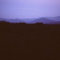 Žene minorne spekulacije